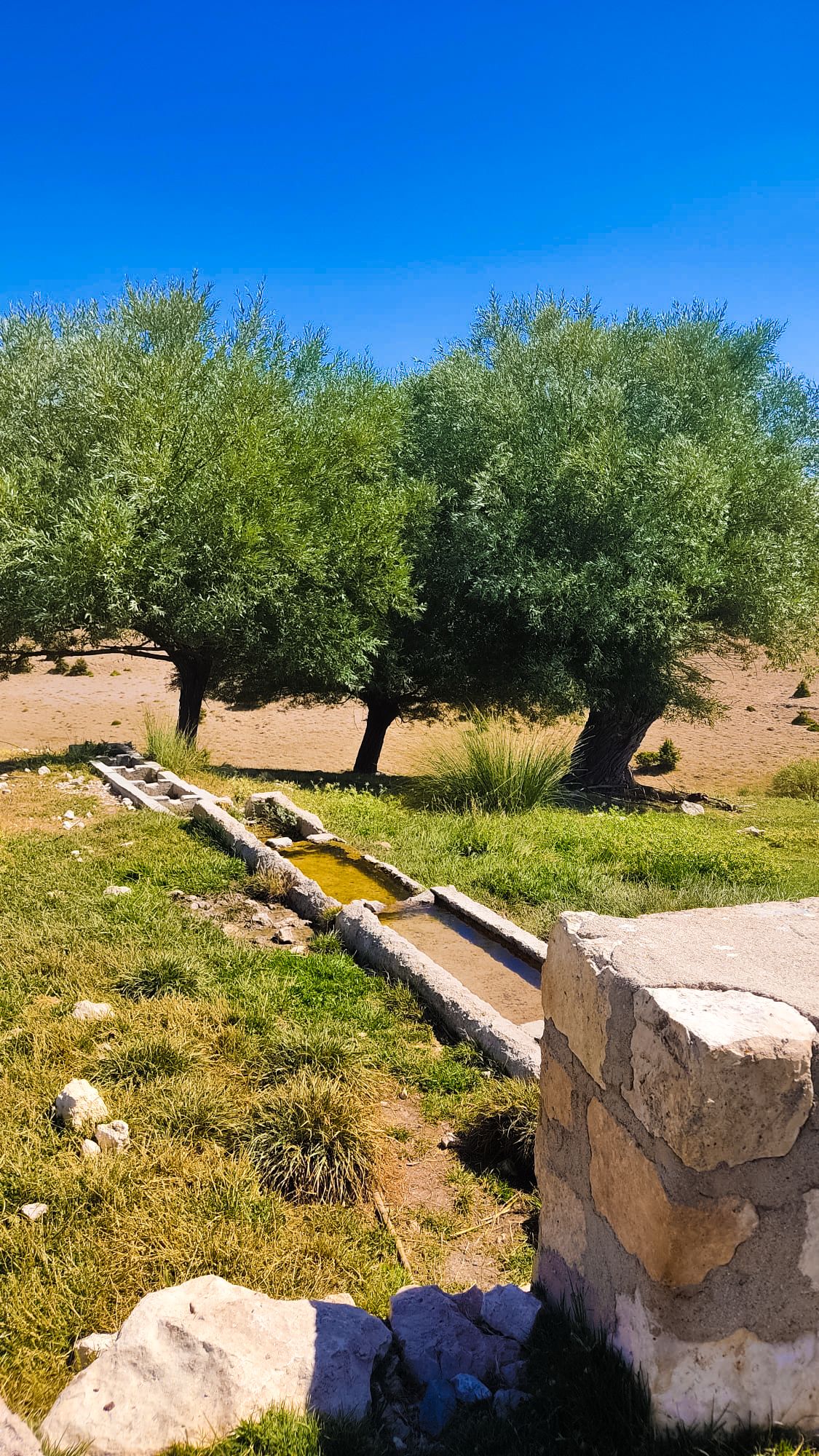 Köyden Kente Göç Nedir?